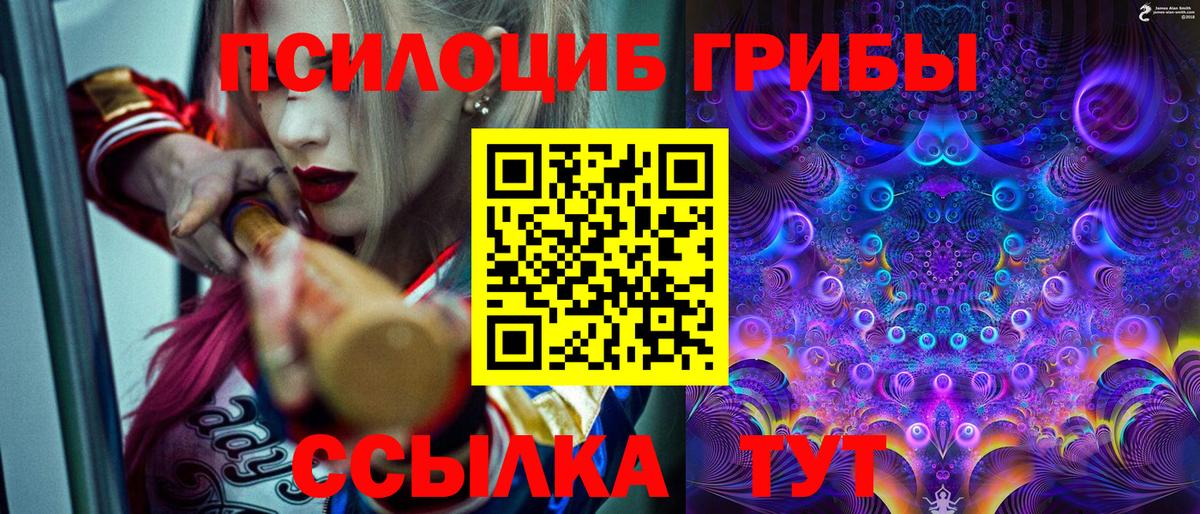 Галлюциногенные грибы Psilocybine cubensis Темрюк