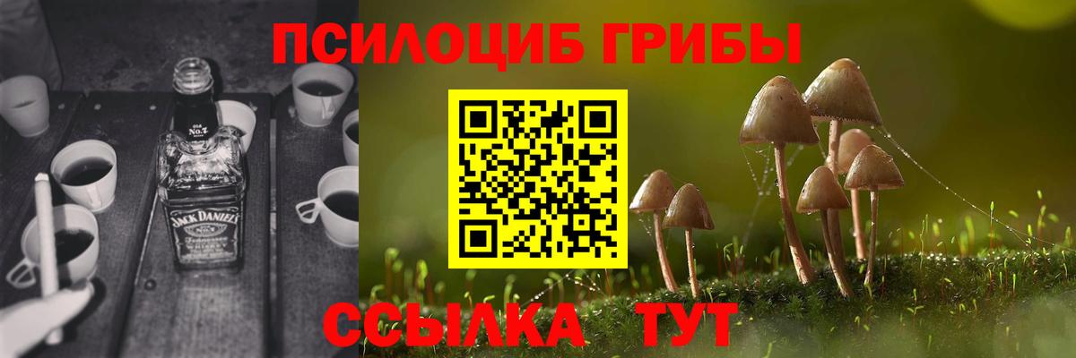 Псилоцибиновые грибы MAGIC MUSHROOMS  наркотики  Вход с VPN  Темрюк  Псилоцибиновые грибы прущие грибы 